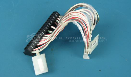 Wiring Harness for Fork Truck
